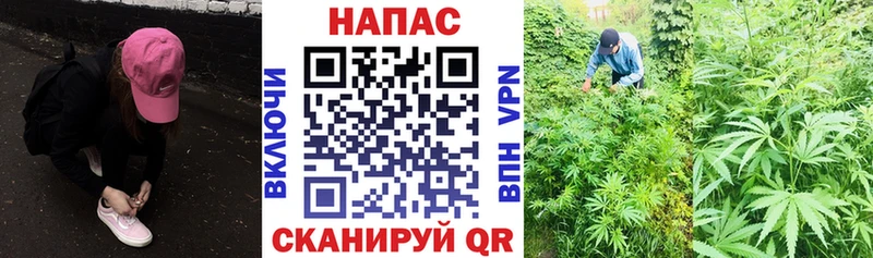 Купить наркотик аптеки Протвино Гашиш  А ПВП  COCAIN  МЕФ  Бошки Шишки 