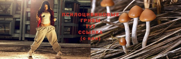 таблы Арсеньев